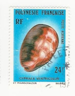 Polynésie - 1978 Coquillages - N° PA133 Obl. - Usados