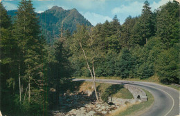 United States CO The Chimney Tops And US441 Great Smoky Mountains National Park - Rocky Mountains