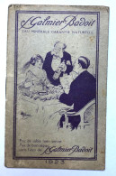 Petit Livret Calendrier Publicitaire 1923 - Saint Galmier Badoit - Eau Minérale - Formato Piccolo : 1921-40