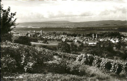 41259553 Ingelheim Rhein Gesamtansicht Ingelheim - Ingelheim