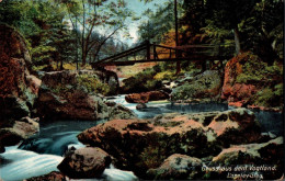 G9904 - Loreley Steg Brücke Triebtal - Gruß Aus Vogtland - Ottmar Zieher - Poehl