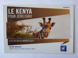 GIRAFE  - Tête / Kenya - Carte Publicitaire Zoo Montpellier - Giraffen