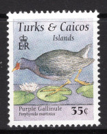 Turks & Caicos Islands 1995 Birds - 35c Purple Gallinule MNH (SG 1332) - Turks And Caicos