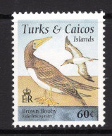 Turks & Caicos Islands 1995 Birds - 60c Brown Booby MNH (SG 1335) - Turks And Caicos