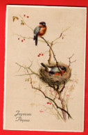 XZK -20  Joyeux Noël   Oiseaux Dans Leur Nid. Circ. 1934 - Autres & Non Classés