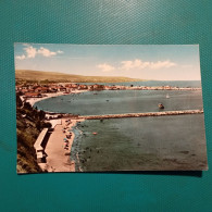 Cartolina Vibo Valentia - Marina - Il Porto. Viaggiata 1963 - Vibo Valentia