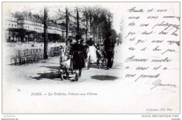 75 PARIS LES TUILERIES VOITURES AUX CHEVRES EDIT NEURDEIN N°38 VOYAGEE 1903 - Otros & Sin Clasificación