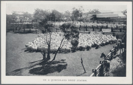 Queensland - Postal Stationery: 1910, Black & White Views, 1d Red Postcard (H&G - Storia Postale