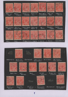 Australia: 1924/1926 Specialized Collection Of More Than 300 Stamps KGV. 1½d. Sc - Colecciones