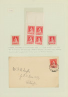 New Zealand: 1929/1983, HEALTH STAMPS, Award-winning Deeply Specialised Exhibit - Briefe U. Dokumente