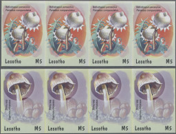 Thematics: 2001/2010, Various Countries. Collection Containing 392 IMPERFORATE S - Ohne Zuordnung