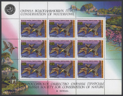 Russia: 1995, 30.000 R. Waterfowl Duck Stamps MNH, 305 Miniature Sheets With 9 S - Altri & Non Classificati