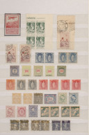 Schweiz: 1880/1940 (ca.), Gestempelte Und Ungebrauchte Zusammenstellung Mit Mitt - Lotti/Collezioni