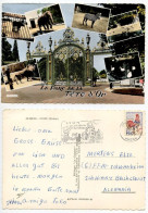 France 1966 Postcard Lyon, Le Parc De La Tête D'Or & Zoo Animals; Automobile Museum Slogan Cancel; 25c Gallic Cock Stamp - Lyon 6