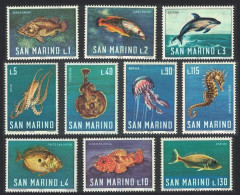 1966 San Marino 869-878 Marine Fauna - Dolphins - Dolphins