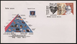 India 2002 Chennai Heart Education & Research Society, Food, Pyramid, Special Cover (**) Inde Indien - Brieven En Documenten