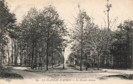 FRANCE - Le Plateau D'Avron - Vue Sur La Grande Avenue - Carte Postale Ancienne - Other & Unclassified