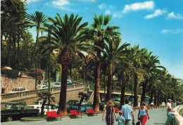 ITALIE - Sanremo - Corso Imperatice - Imperatrice Avenue - Palmiers - Animé - Voitures - Carte Postale - San Remo