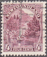 NEWFOUNDLAND  SCOTT NO 134  USED  YEAR 1923 - 1865-1902