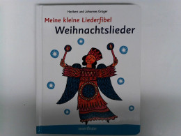 Meine Kleine Liederfibel - Weihnachtslieder (Sauerländer Kindersachbuch) - Autres & Non Classés