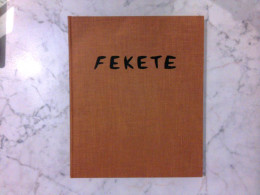 Esteban Fekete - Werkverzeichnis Der Druckgraphik II 1971 - 1981 : Exemplar Nr. 1073 - Other & Unclassified