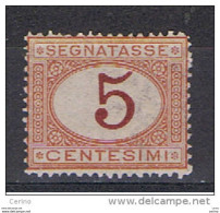 REGNO:  1870/94  TASSE  -  5 C. ARANCIO  E  CARMINIO  N. -  SASS. 5 - Segnatasse