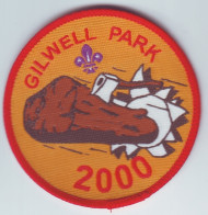 B 13 - 34 UK Scout Badge - Gilwell Park - 2000 - Scoutismo