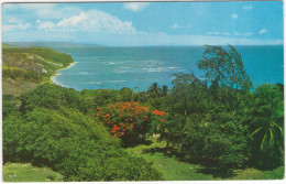 East Coast Scene, Barbados, West Indies - (Bridgetown Red Metermark) - Barbades