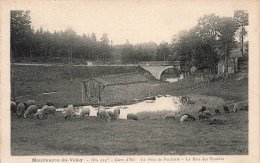 FRANCE - Montfaucon Du Velay - Cure D'Air - Le Pont De Rochette - Le Bois Des Blondes - Carte Postale Ancienne - Montfaucon En Velay