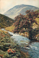 United Kingdom Scotland A Hill Stream Near Moffat - Dumfriesshire