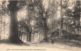 FRANCE - Montfaucon - Le Parc Du Château De Figon - Carte Postale Ancienne - Montfaucon En Velay