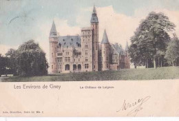 Ciney - Environs - Le Château De Leignon - Circulé En 1904 - Dos Non Séparé - TBE - Ciney