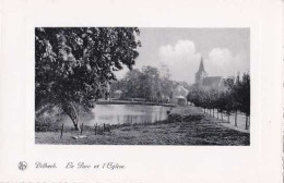 Dilbeek - Le Parc Et L'Eglise - Pas Circulé - TBE - Dilbeek