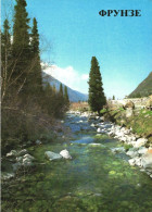 NATURE, FRUNZE, ALA-ARCHA RIVER, KYRGYZSTAN, POSTCARD - Kirghizistan