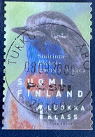 Suomi - Finland - C5/23 - 1999 - (°)used - Michel 1462 - Blauwborst - TURKU - Gebruikt