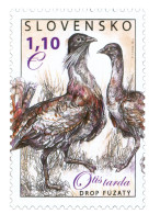 ** 505 Slovakia Otis Tarda 2011 - Cranes And Other Gruiformes