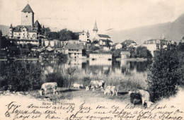 SPIEZ AM THUNERSEE - CARTOLINA FP SPEDITA NEL 1907 - Spiez