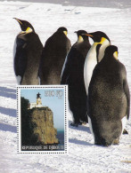 Djibouti 2005. Penguins. MNH 30971 - Penguins