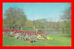 CPSM/pf BOSTON (Etats-Unis) Swan Boat, Public Gardens..*4827 - Boston