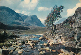 United Kingdom Scotland Argyllshire Glencoe River Coe - Argyllshire