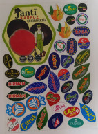 AC - FRUIT LABELS Fruit Label - STICKERS LOT #212 - Fruits & Vegetables