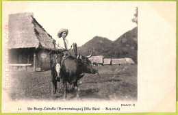 Af1450 - BOLIVIA - Vintage Postcard - Un Buey-Caballo - Rio Beni - Ethnic - Bolivië