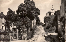 85 , Cpsm  CHAILLE Les MARAIS , La Vierge Des Marais (09216.F24) - Chaille Les Marais