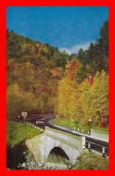 CPSM/pf MASSACHUSETTS (Etats-Unis) Mohawk Trail, Cold River Bridge..*4834 - Boston