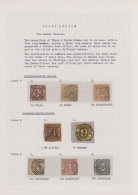 Thurn & Taxis - Marken Und Briefe: 1852/1875, Interessante Kollektion Auf Steckk - Other & Unclassified