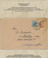 Deutsches Reich - Germania: 1900-1920 (ca), Germania-Ausgaben, Sammlung Im Album - Colecciones