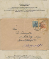 Deutsches Reich - Germania: 1900-1920 (ca), Germania-Ausgaben, Sammlung Im Album - Sammlungen