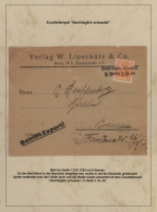 Deutsches Reich - Germania: 1900-1920 (ca), Germania-Ausgaben, Spezialsammlung N - Colecciones