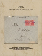 Deutsches Reich - Germania: 1900-1920, Germania-Ausgaben, Spezialsammlung Von Ca - Colecciones