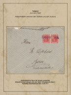 Deutsches Reich - Germania: 1900-1920, Germania-Ausgaben, Spezialsammlung Von Ca - Sammlungen